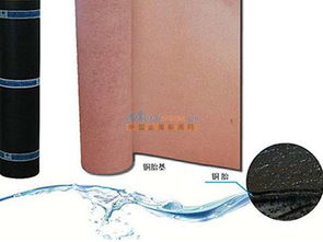 種植屋面聚乙烯耐根穿刺防水卷材廠家 建廣建材物超所值的種植屋面聚乙烯耐根穿刺防水卷材新品上市