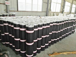 價(jià)格適中的sbs防水卷材,廠(chǎng)家火熱供應(yīng) 西藏自粘改性瀝青sbs防水卷材