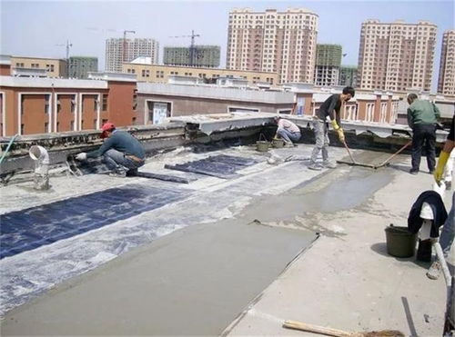 自粘防水卷材 廣州防水性能優(yōu)越卷材廠家